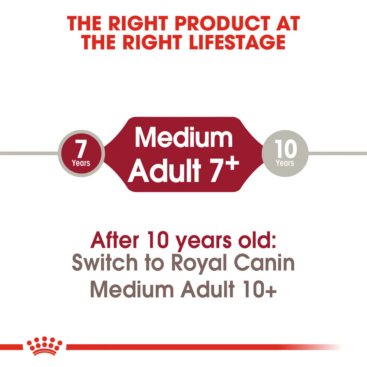 Royal Canin Medium Adult 7 Plus Dry Dog Food - Image 4