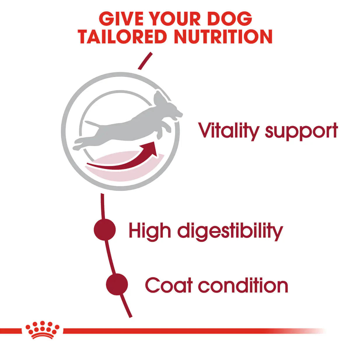 Royal Canin Medium Adult 7 Plus Dry Dog Food - Image 5