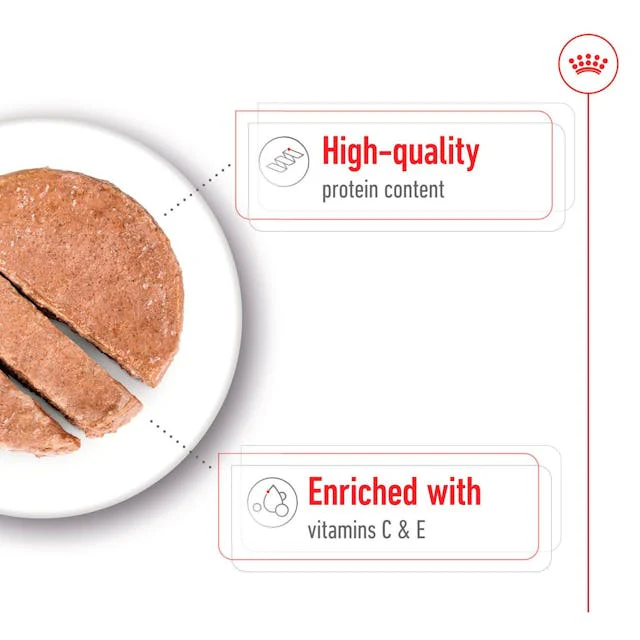 Royal Canin Medium Adult Wet Dog Food - Image 3