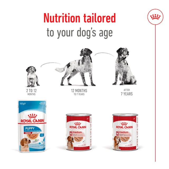 Royal Canin Medium Adult Wet Dog Food - Image 7