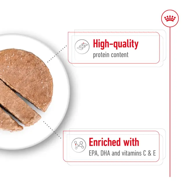 Royal Canin Medium Ageing Wet Dog Food - Image 3