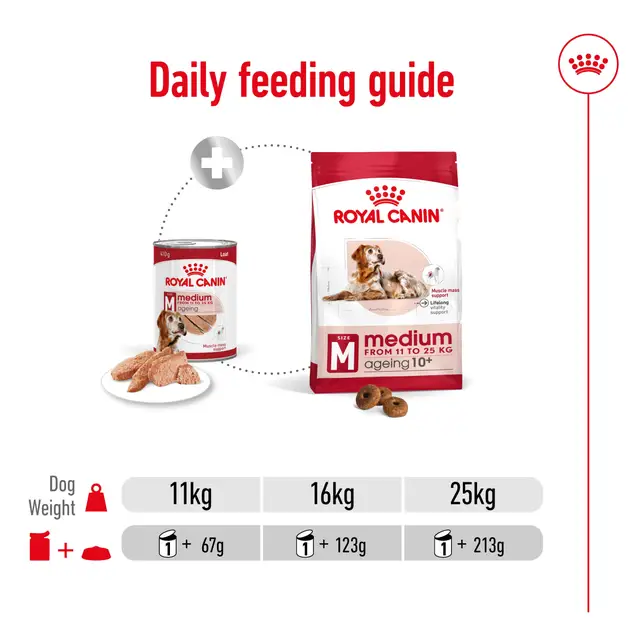 Royal Canin Medium Ageing Wet Dog Food - Image 5