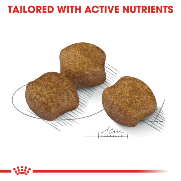 Royal Canin Medium Dental Adult Dry Dog Food - Image 3