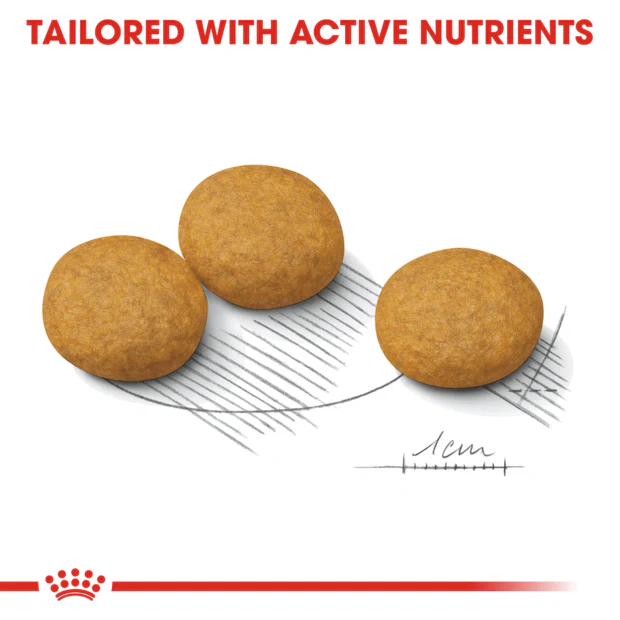 Royal Canin Medium Dermacomfort Adult Dry Dog Food - Image 5