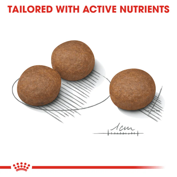 Royal Canin Medium Digestive Care Adult Dry Dog Food - Image 3