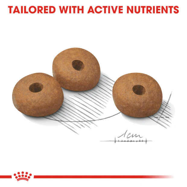 Royal Canin Medium Light Weight Care Adult Dry Dog Food - Image 3
