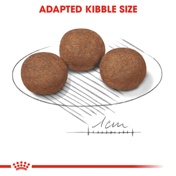 Royal Canin Medium Puppy Dry Dog Food - Image 3