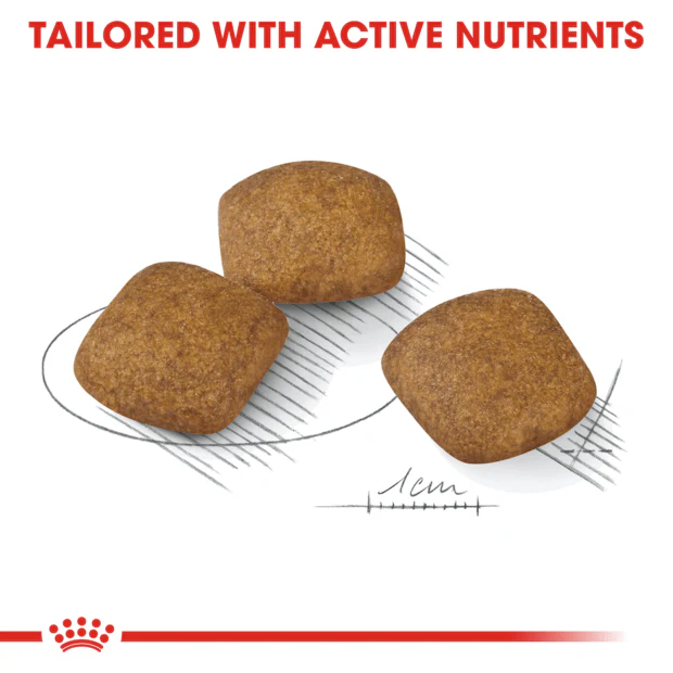 Royal Canin Medium Relax Care Adult Dry Dog Food - Image 3