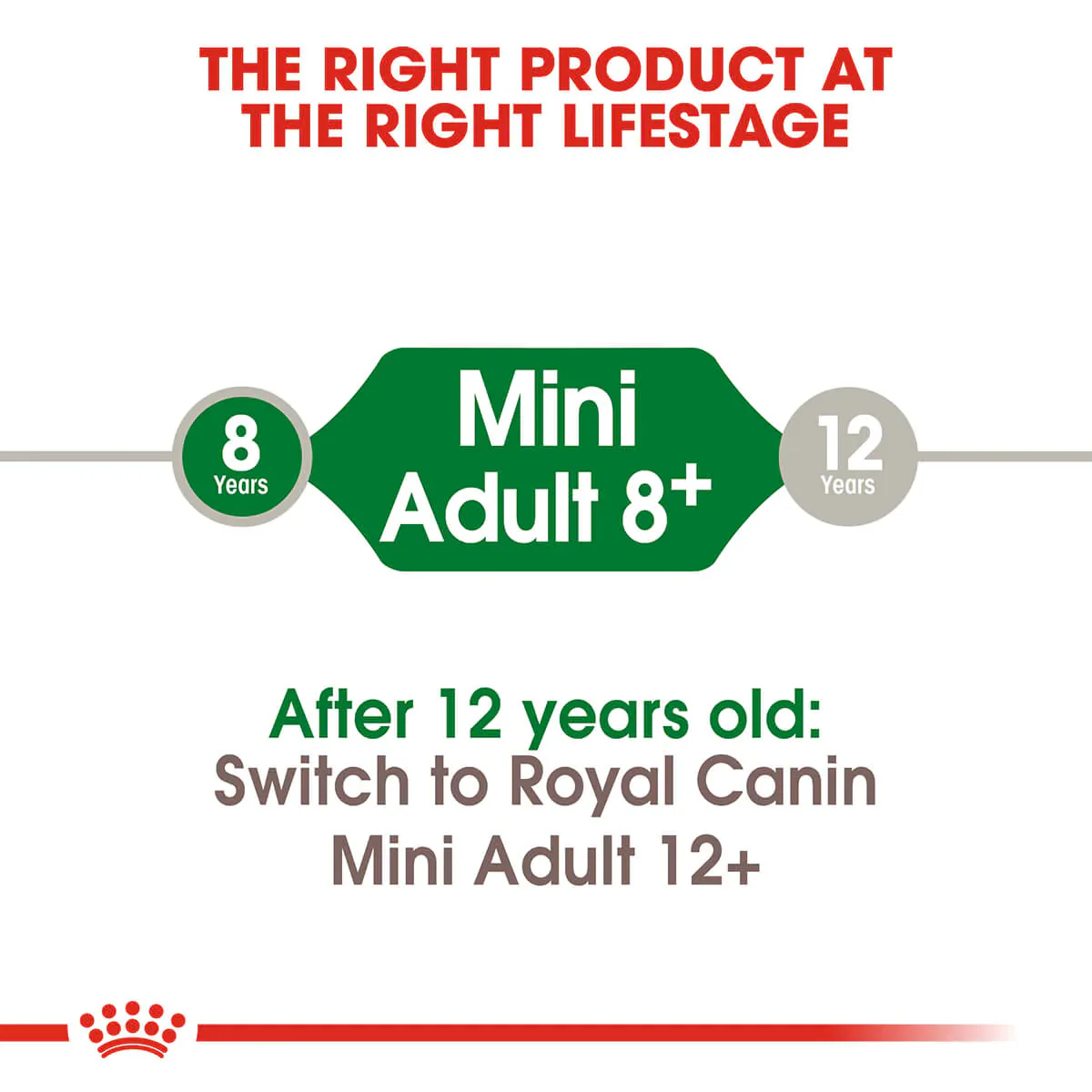 Royal Canin Mini Adult 8 Plus Dry Dog Food - Image 4