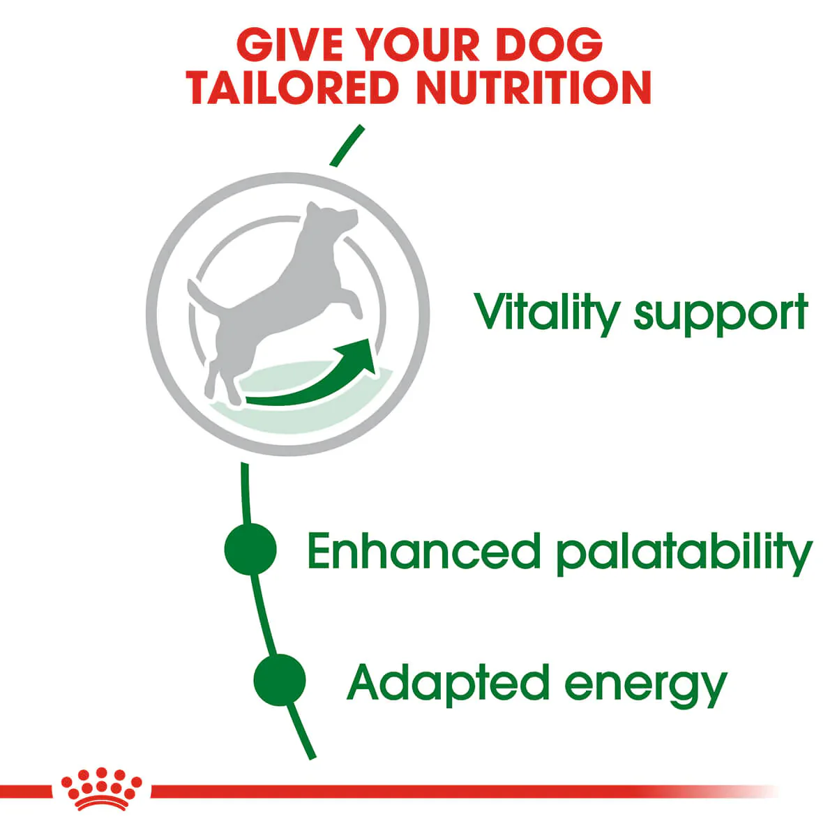 Royal Canin Mini Adult 8 Plus Dry Dog Food - Image 5