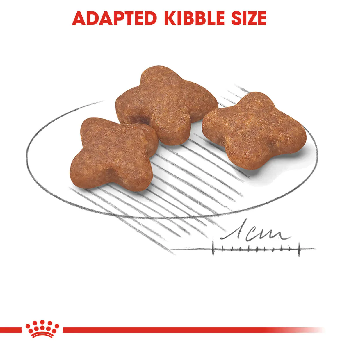 Royal Canin Mini Adult 8 Plus Dry Dog Food - Image 8