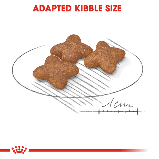 Royal Canin Mini Adult Dry Dog Food - Image 3