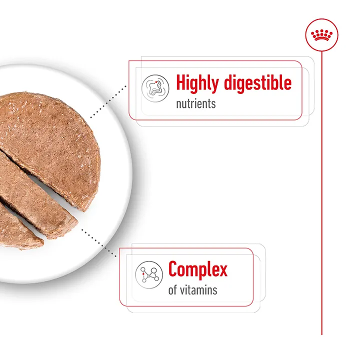 Royal Canin Mini Adult Wet Dog Food - Image 2
