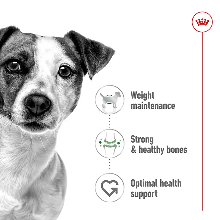 Royal Canin Mini Adult Wet Dog Food - Image 7
