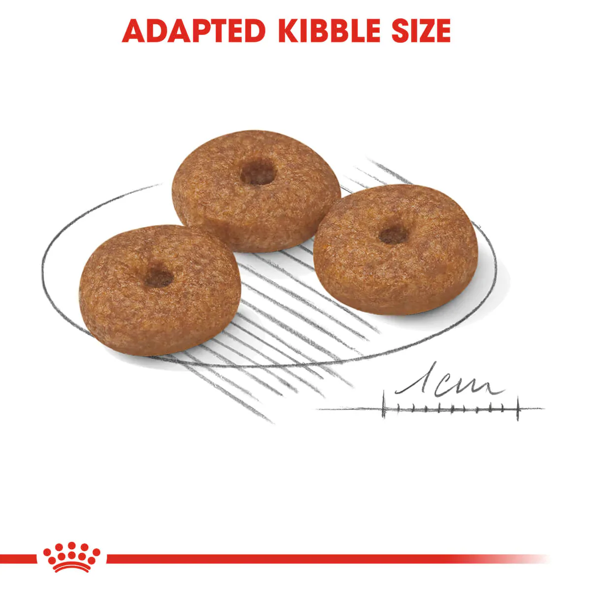 Royal Canin Mini Ageing 12 Plus Senior Dry Dog Food - Image 8