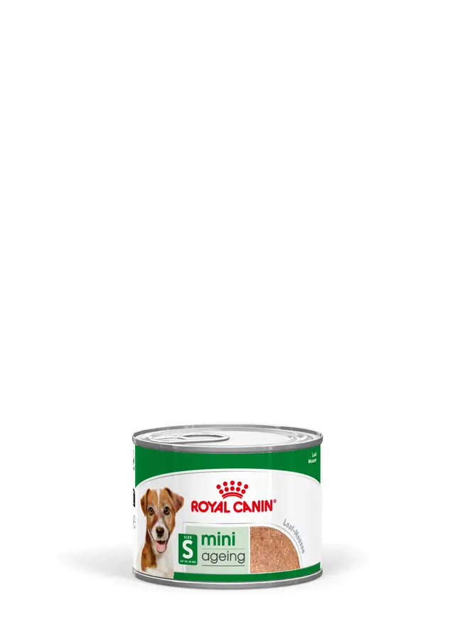 Royal Canin Mini Ageing Wet Dog Food - Image 2