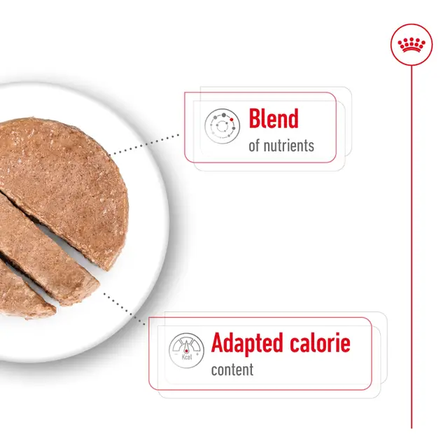 Royal Canin Mini Ageing Wet Dog Food - Image 3
