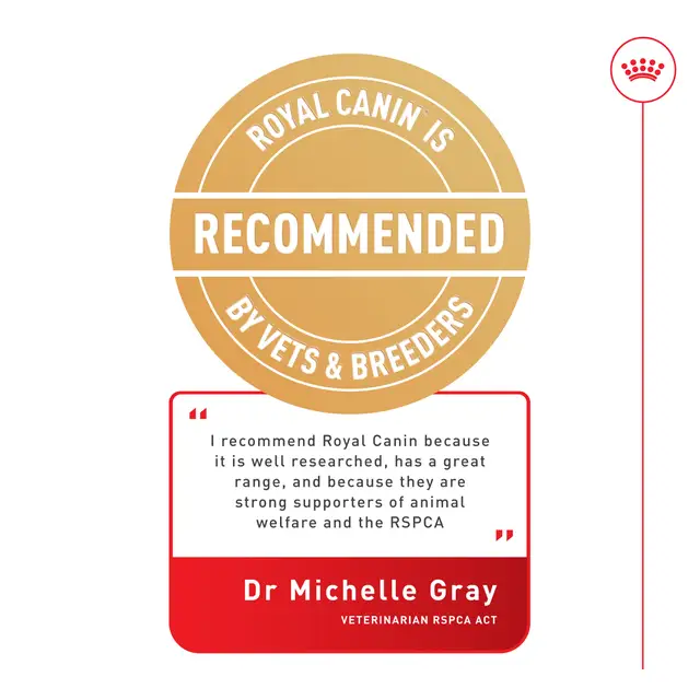 Royal Canin Mini Ageing Wet Dog Food - Image 8