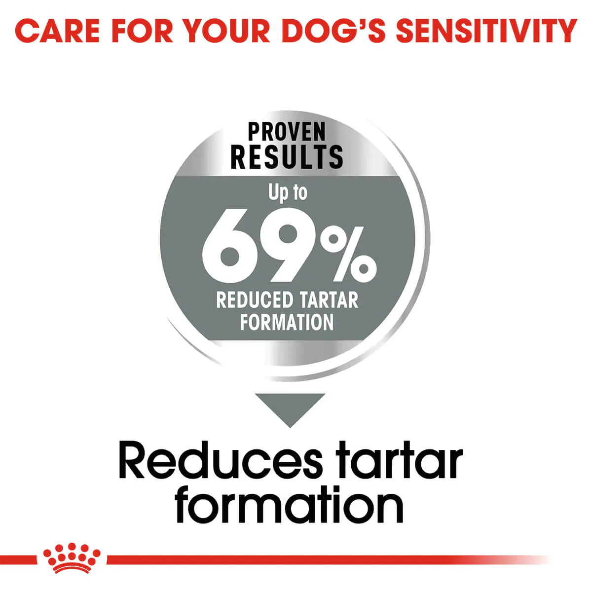 Royal Canin Mini Dental Care Adult Dry Dog Food - Image 4