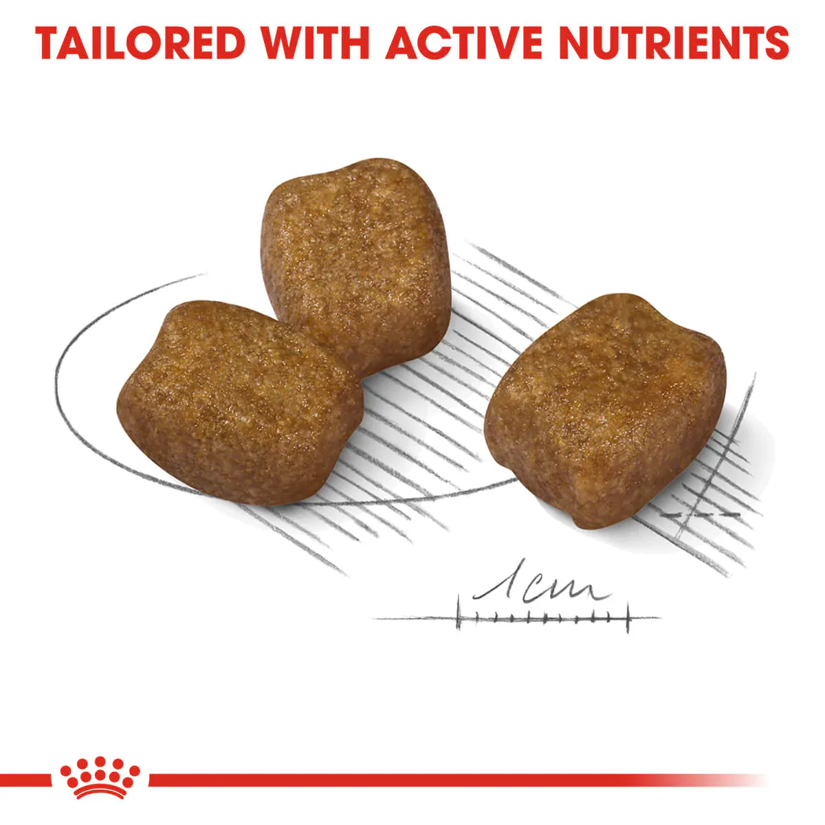 Royal Canin Mini Dental Care Adult Dry Dog Food - Image 7