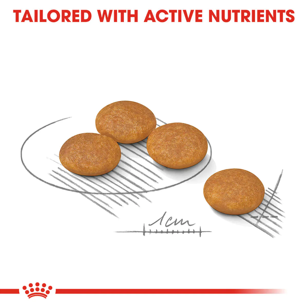 Royal Canin Mini Dermacomfort Adult Dry Dog Food - Image 6