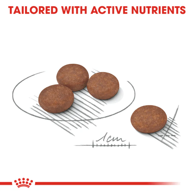 Royal Canin Mini Digestive Care Adult Dry Dog Food - Image 3