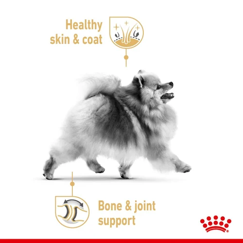 Royal Canin Pomeranian Adult Dry Dog Food - Image 2