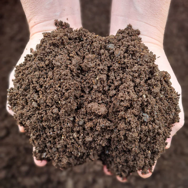 Rural Earthworms Worm Castings - Image 4