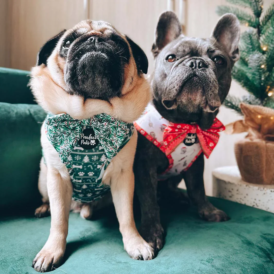 Bow Tie - Mistletoe - Image 2