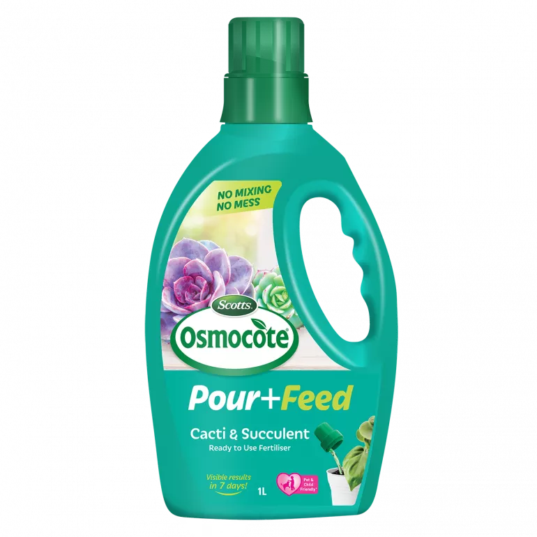 Scotts Osmocote Pour and Feed Cacti and Succulent Liquid Fertiliser - Image 2