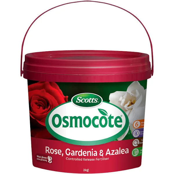 Scotts Osmocote Rose Gardenia and Azalea Fertiliser - Image 2