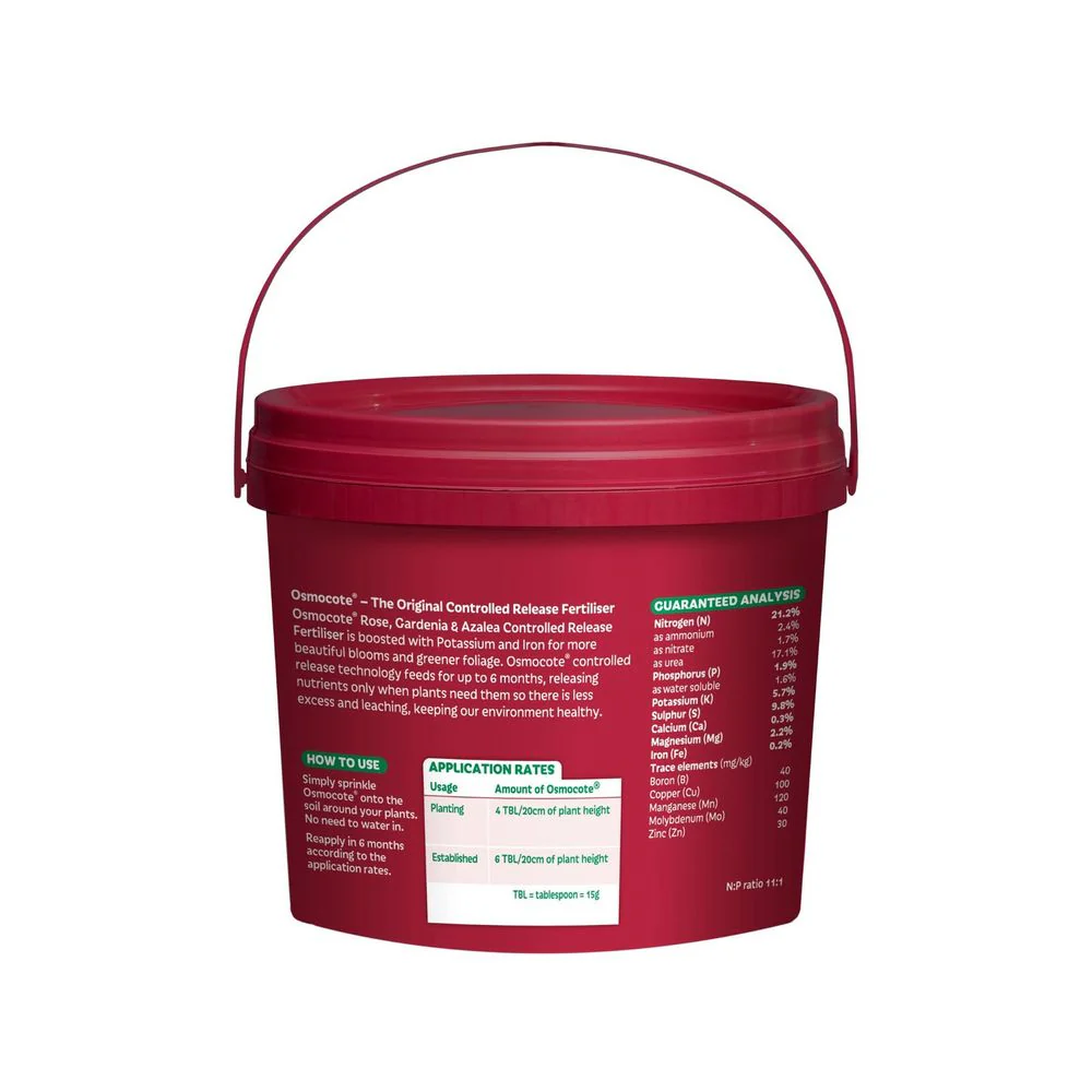 Scotts Osmocote Rose Gardenia and Azalea Fertiliser - Image 4