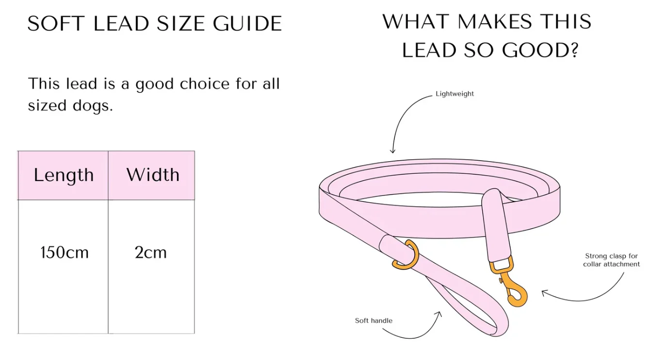 Soft Dog Lead Rainbow Gingham - Image 3