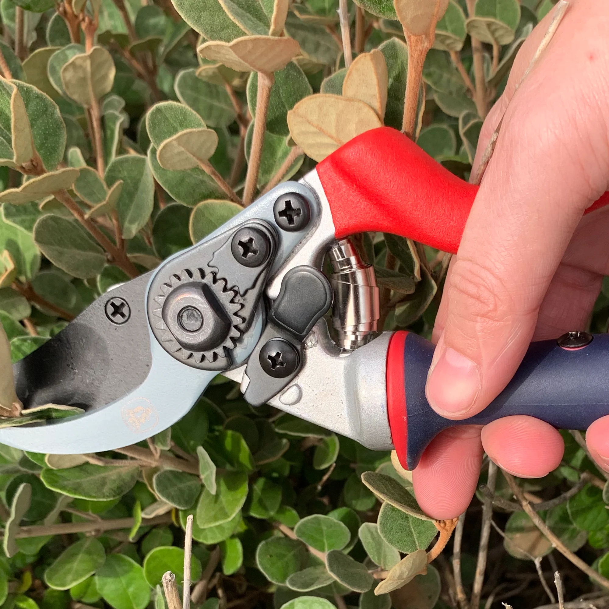 Spear and Jackson Bypass Secateur Razorsharp Advance - Ergo Twist - Image 2