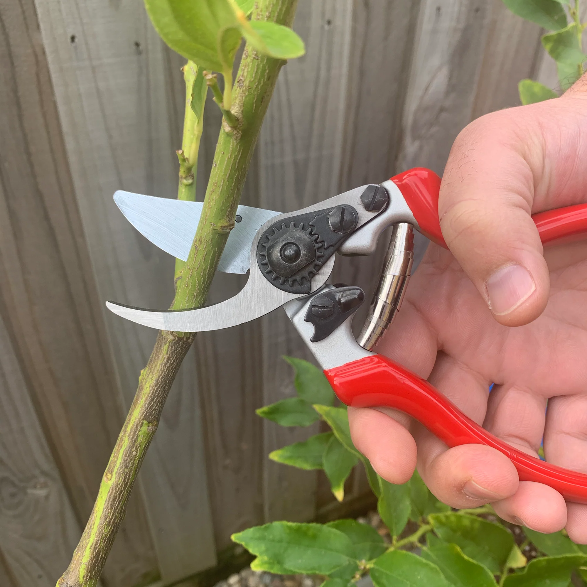 Spear and Jackson Bypass Secateur Razorsharp Pro - Ergo - Image 2