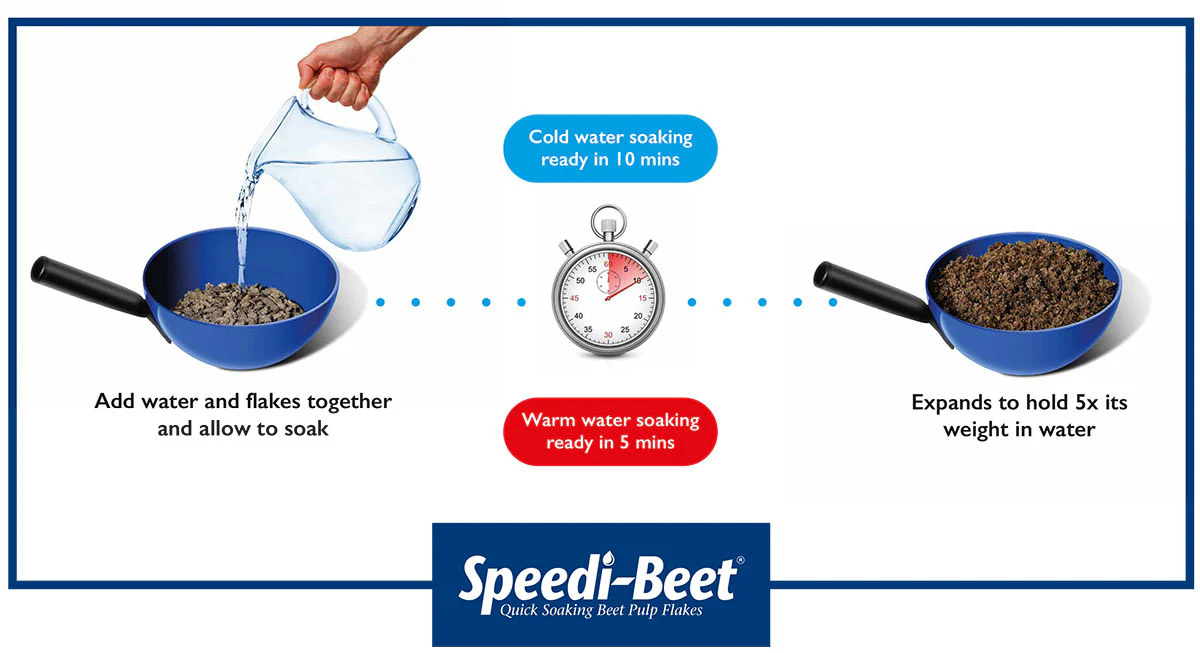 Speedibeet - Image 3
