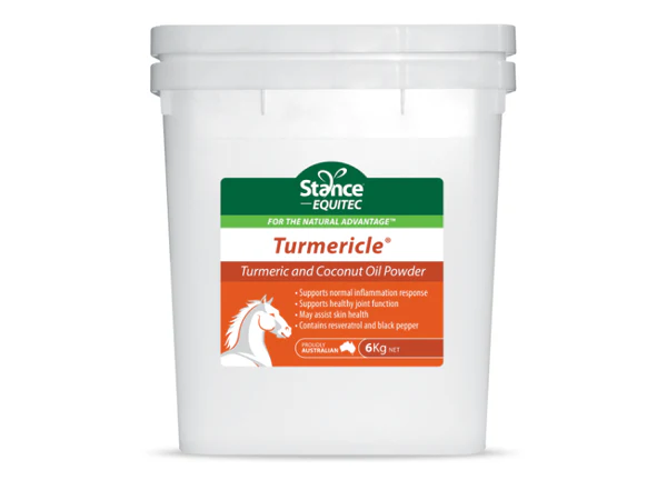 Stance Equitec Turmericle - Image 4