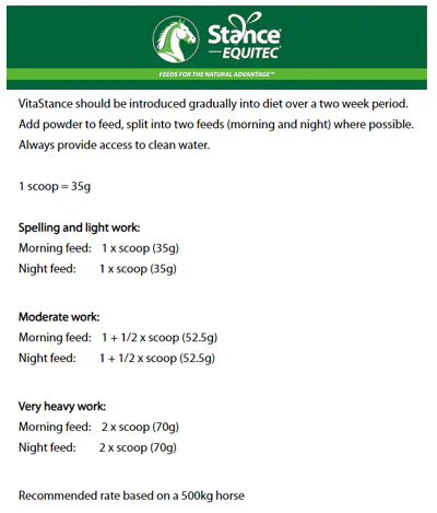 Stance Equitec VitaStance - Image 2