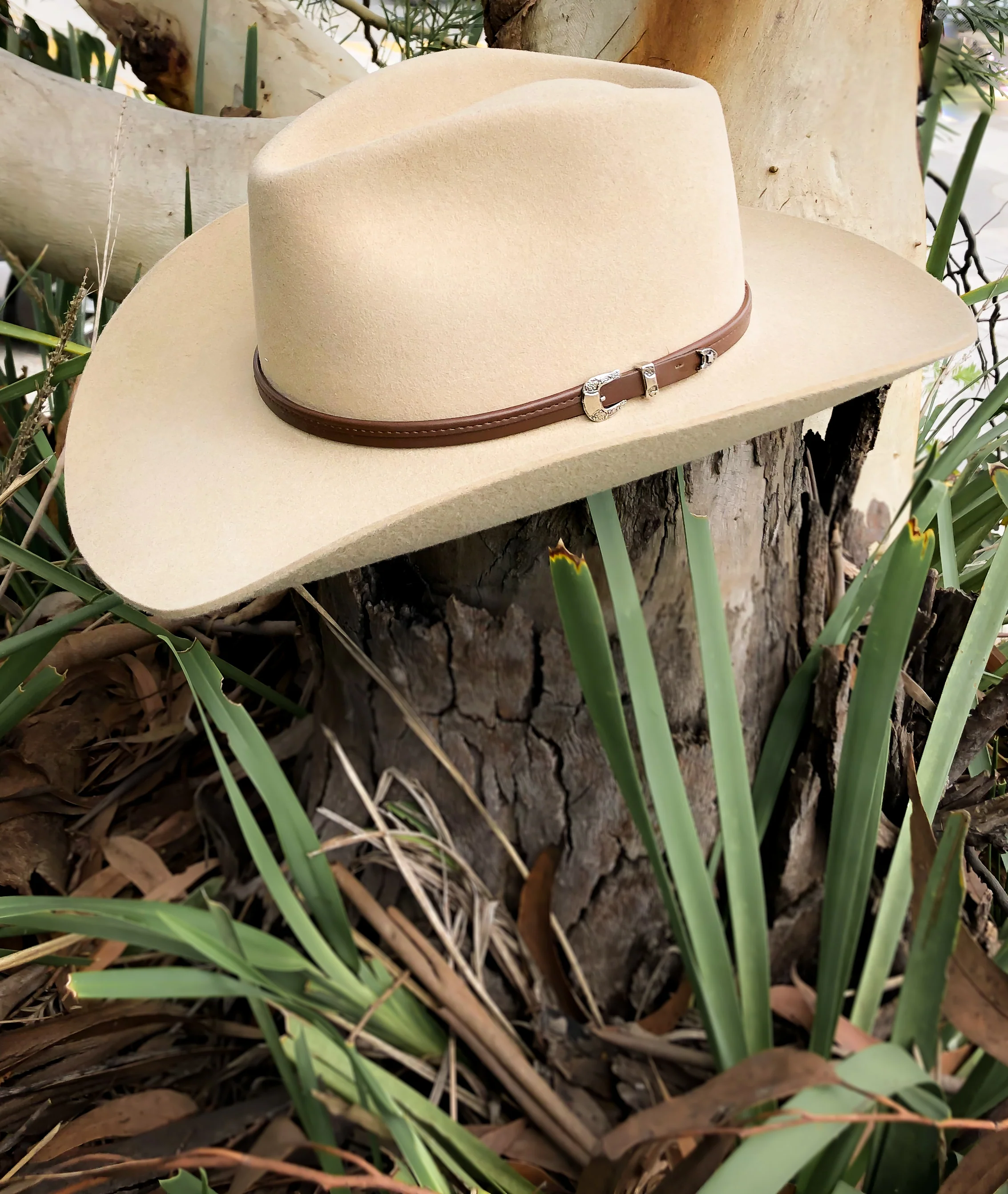 Stetson Seneca - Image 3