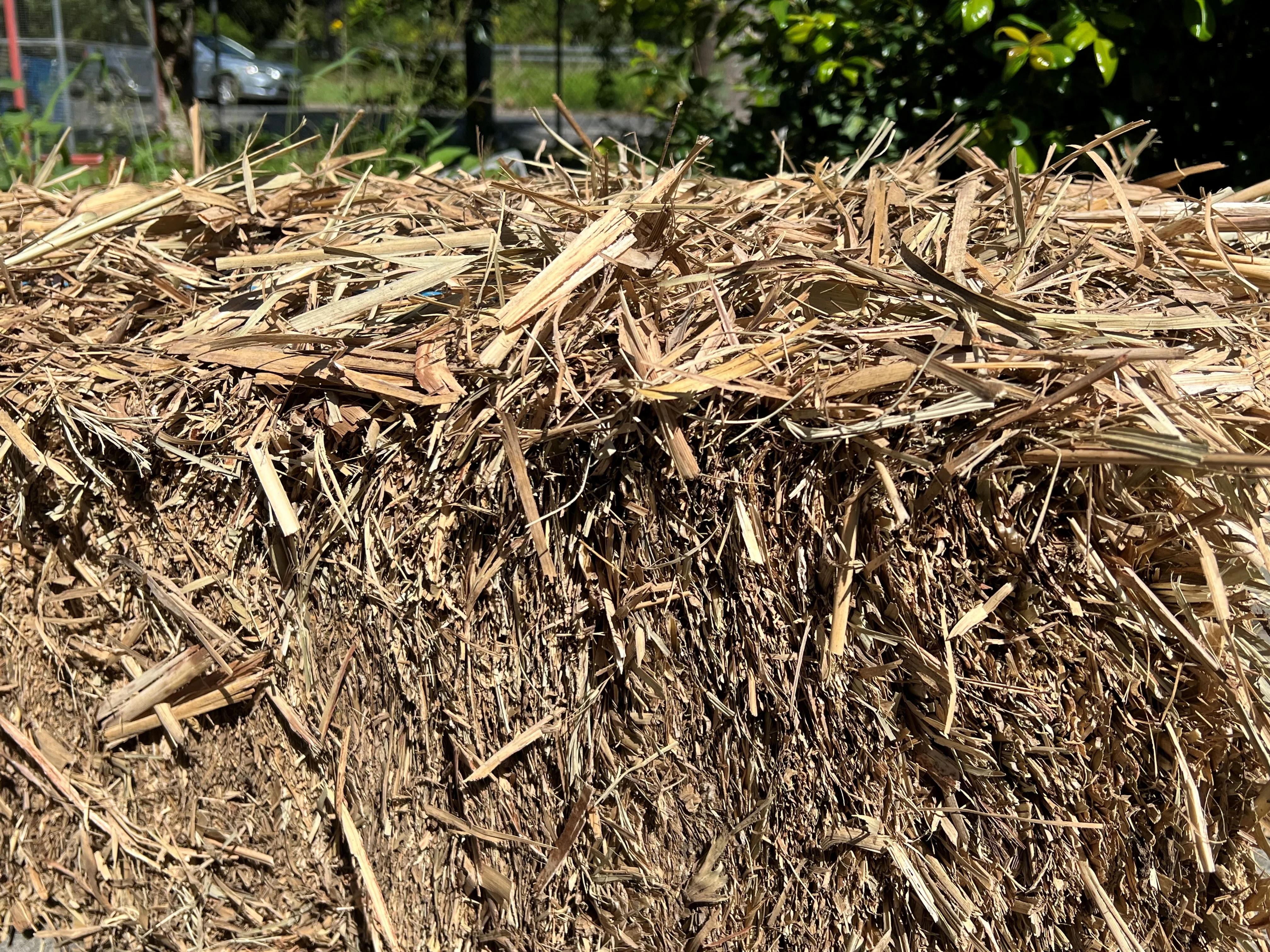 Sugar Cane Mulch - Image 2