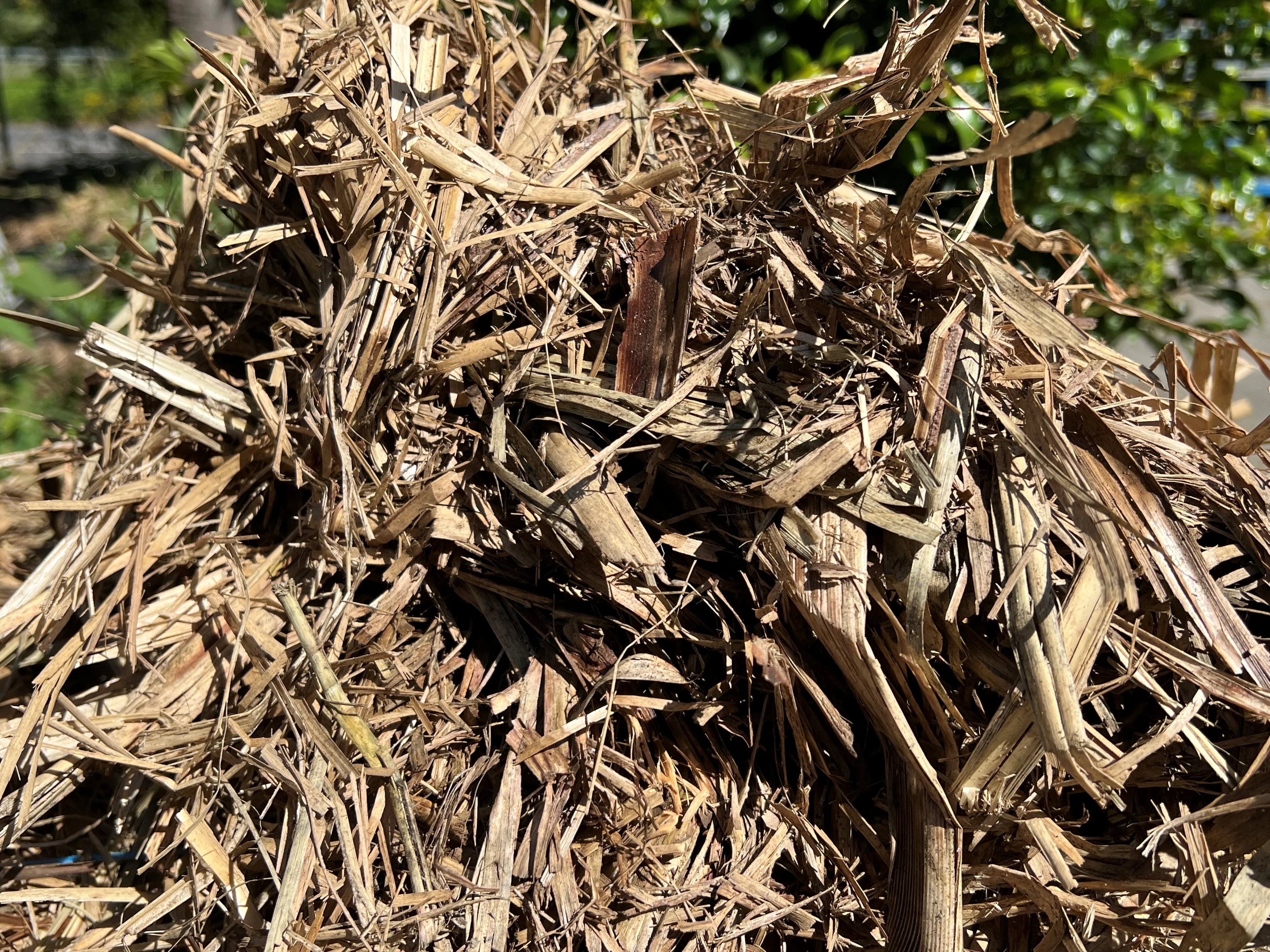 Sugar Cane Mulch - Image 3
