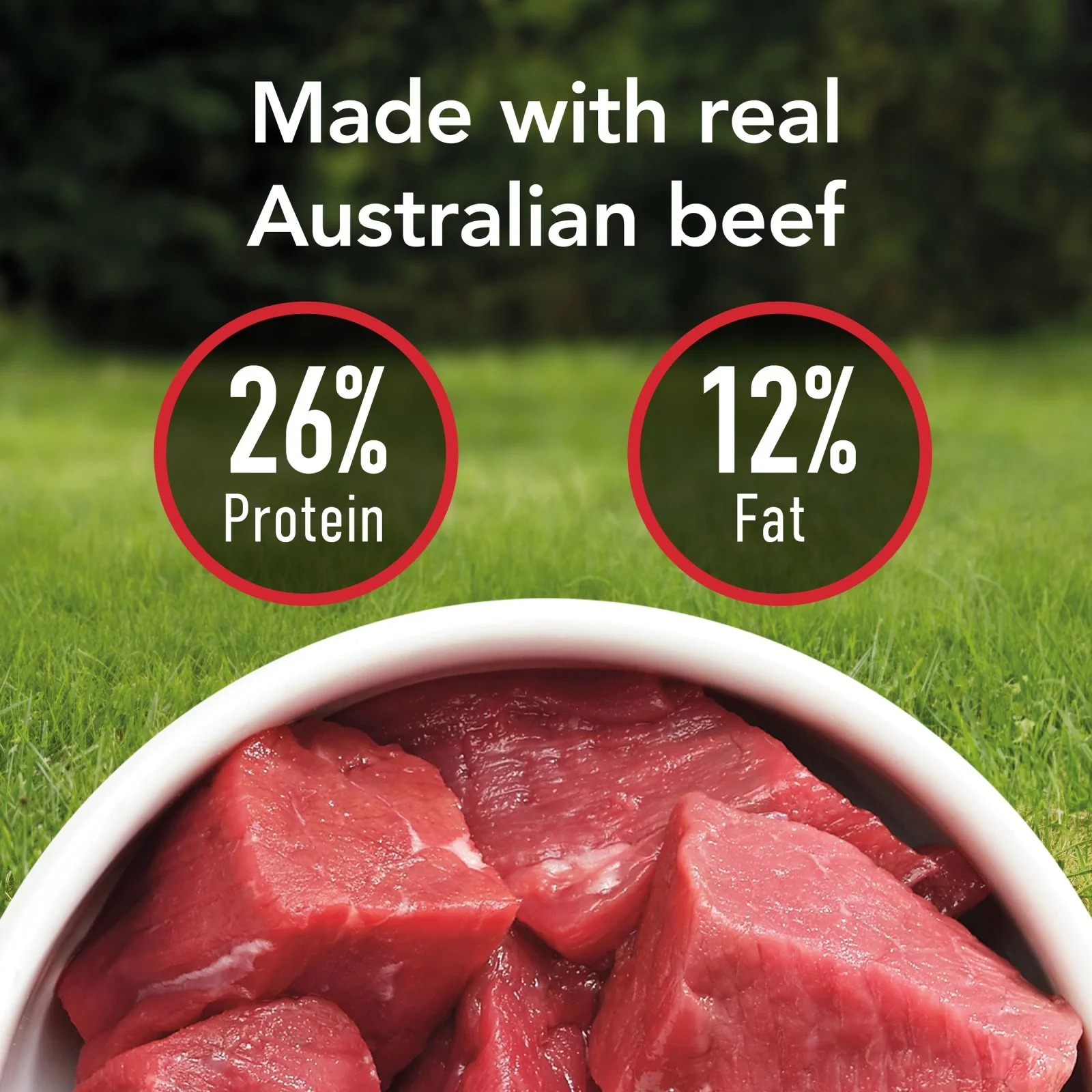 Supercoat Adult Active Dry Dog Food - Image 7