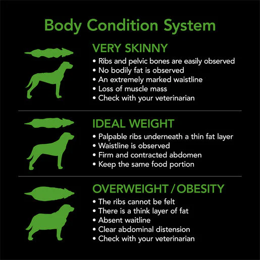 Supercoat Adult Healthy Weight Chicken Dry Dog Food - Image 4
