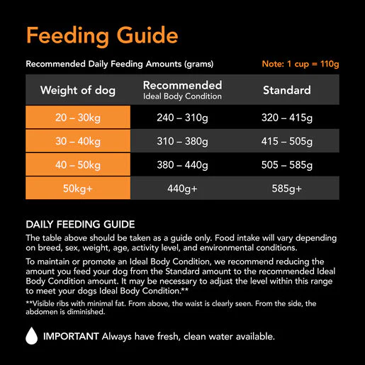Supercoat Adult Large Breed Dry Dog Food - Image 2