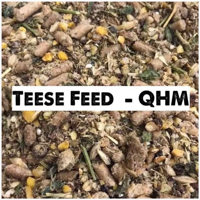 Teese QHM - Image 3