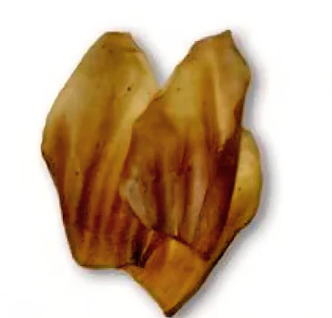 Treatz Aztec Beef Ears - Image 2