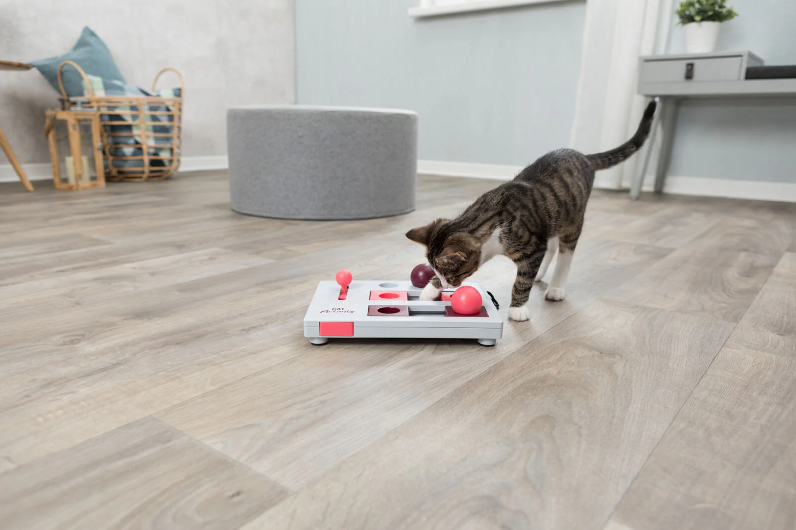 Trixie Brain Mover Strategy Game Activity Cat Feeder - Image 5