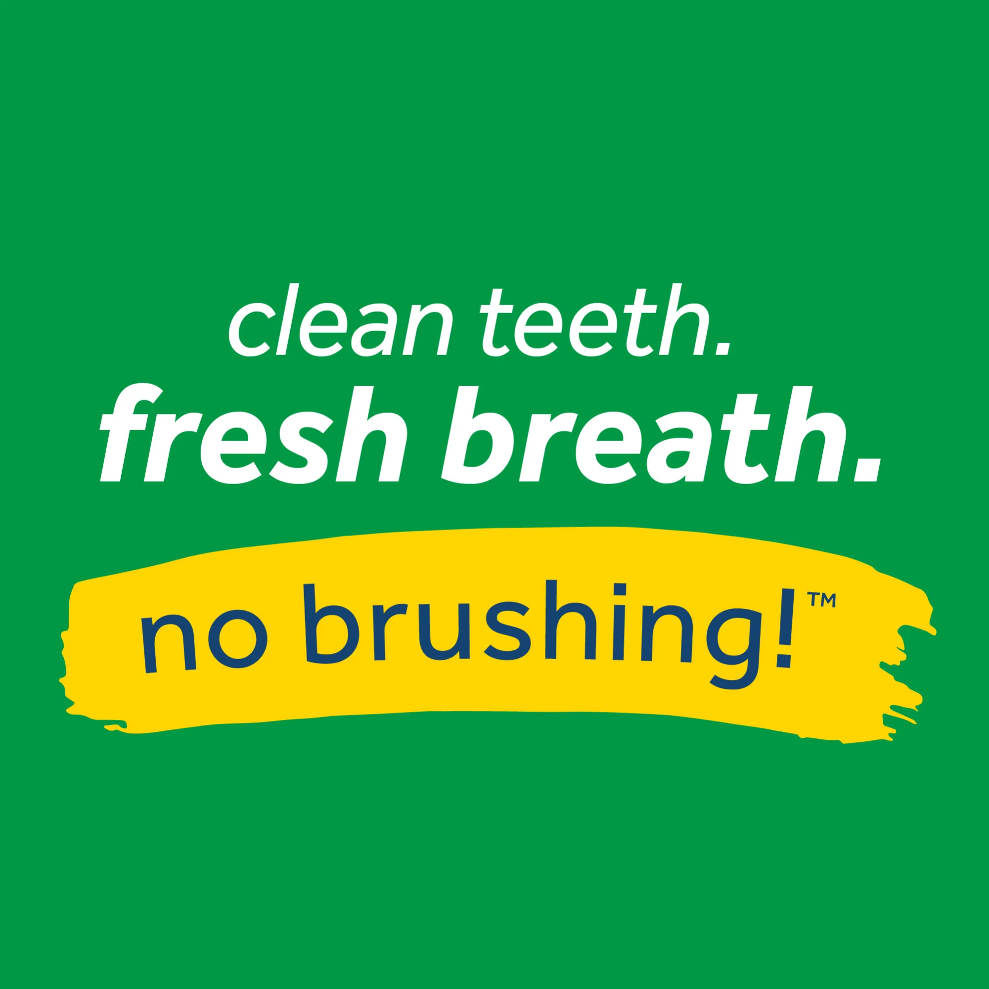 TropiClean Fresh Breath Mint Foam for Dogs - Image 4