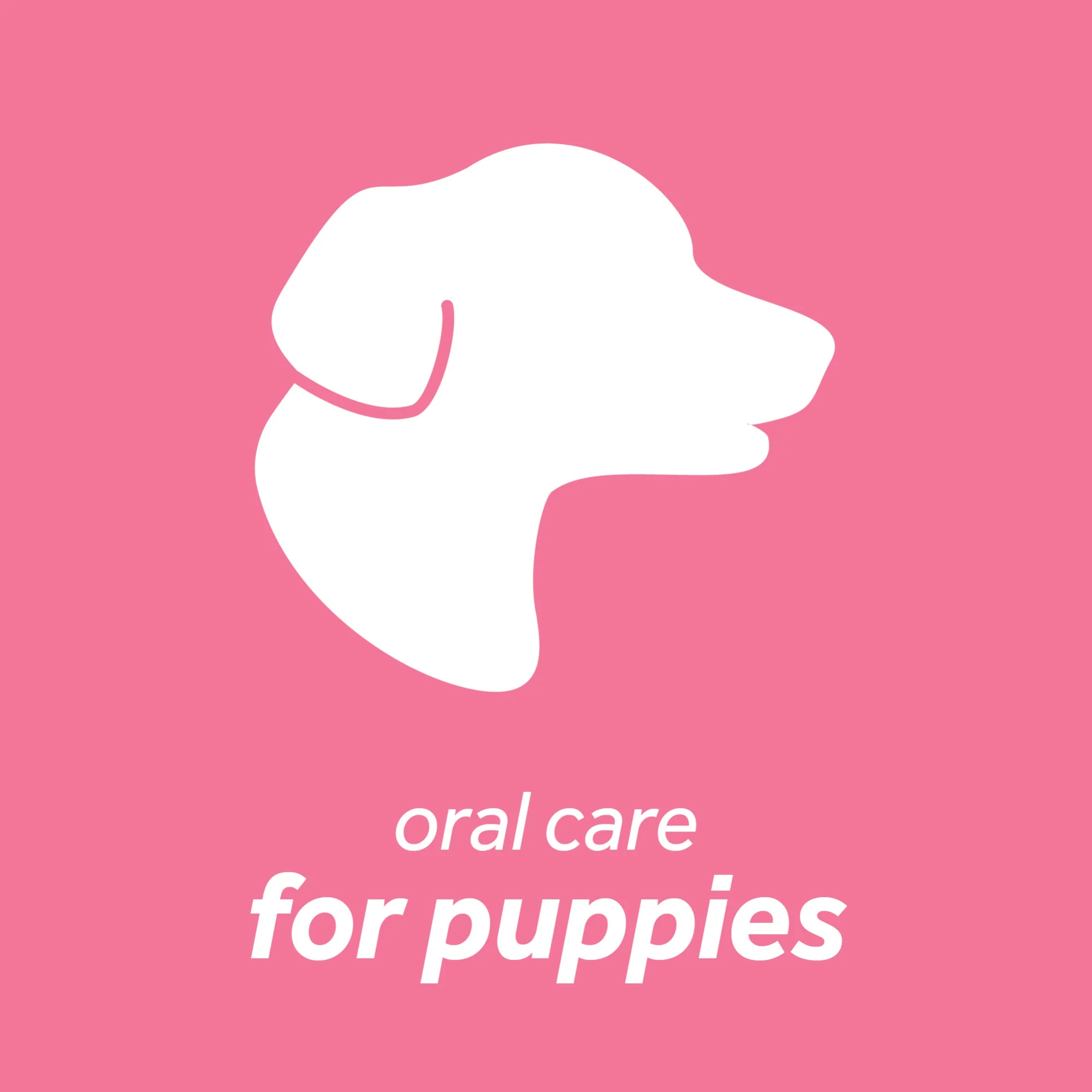 TropiClean Fresh Breath Oral Care Clean Teeth Gel for Puppies - Image 4