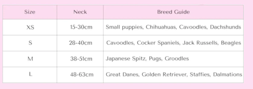 Soft Dog Collar Rainbow Gingham - Image 3